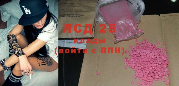 прущие грибы Лабытнанги